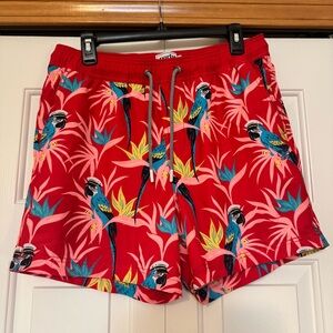 Party Pants‎ Vibrant Red Parrot Print Men's Swim Shorts